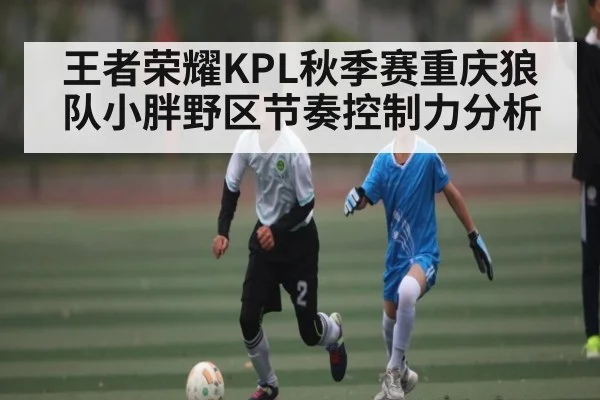 王者荣耀KPL秋季赛重庆狼队小胖野区节奏控制力分析（kaiyun）