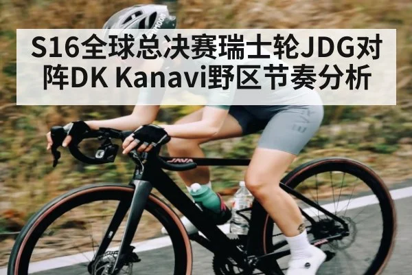S16全球总决赛瑞士轮JDG对阵DK Kanavi野区节奏分析（kaiyun）